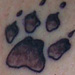 tattoo galleries/ - Paw Prints Tattoo